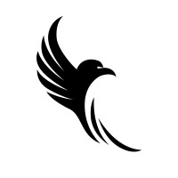 Fitness Falcons Apparels logo - Similar company to Delirec