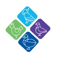 Avian Fashions