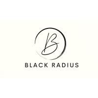 BLACK RADIUS logo - Similar company to Badgerfly