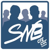 SNB/CFE-CGC BNP Paribas logo - Similar company to Snb Cfe Cgc
