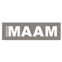 Grupo MAAM logo - Similar company to Dimoauto