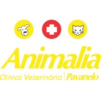 Clínica Veterinária Animalia Pavanelo logo - Similar company to Big Fish Academy