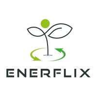Enerflix Energie- und Unternehmensberatung Alexander Herding logo - Similar company to Ingenieurbüro Dr. Buschmeier