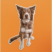 Cão Guardião