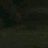 cd logo - Similar company to Blackbugs Technologies