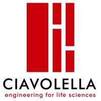 Ciavolella Engineering Srl logo - Similar company to Jiangsu Aidea Pharmaceutical Group Co., Ltd.