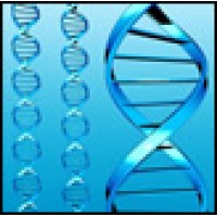 Biotechnology Information Institute logo - Similar company to The Idyeas Group