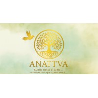 ANATTVA logo - Similar company to Río Urbano