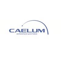 Caelum Co., Ltd. logo - Similar company to 모베이스전자