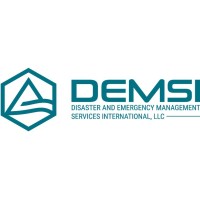 DEMSI logo - Similar company to Flux Resources