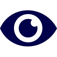Sawinsight logo - Similar company to Kleene.Ai
