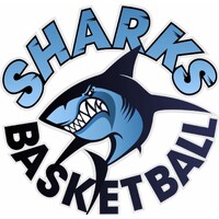 Sutherland District Basketball Association logo - Similar company to Studio Skoumal