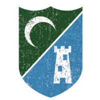Tower & Crescent logo - Similar company to Phi Alpha Delta - Tulane Pre-Law Chapter
