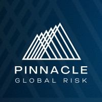 Pinnacle Global Risk, LLC. logo - Similar company to Mesmerize Software Studio