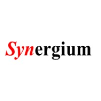 SYNERGIUM Consulting logo - Similar company to Alizé Studio