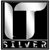 IT Silver logo - Similar company to Advanced It Llc
