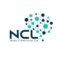 NCL - NED logo - Similar company to Sawayra, Inc.