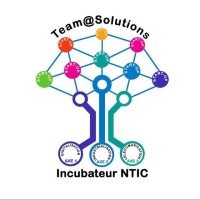 Team@Solutions logo - Similar company to Securtrack