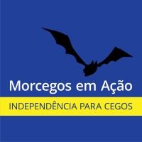 Morcegos Em Ação