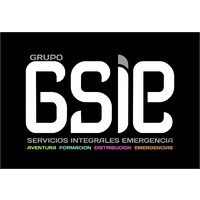 Grupo GSIE logo - Similar company to Target Tecnología, S.A.