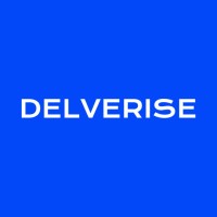 Delverise logo - Similar company to Custom Digital Solutions Llc