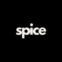 Spice logo - Similar company to Copani Llc