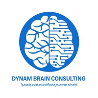 Dynam Brain Consulting logo - Similar company to Hermes Conseils