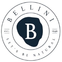 Bellini Let's BE natural srl logo - Similar company to Viva Toys