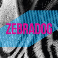 Zebradog
