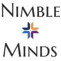Nimble Minds Advisory logo - Similar company to Netcity - Bucharest Fiber Network