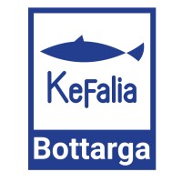 Kefalia logo - Similar company to Procapture
