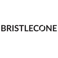 Bristlecone logo - Similar company to Abhanti consultancy services
