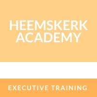 Heemskerk academy logo - Similar company to Applestar