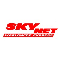 Skynet Portugal logo - Similar company to Evolver Rh