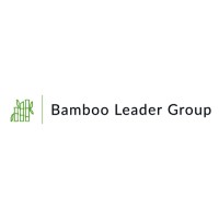 Bamboo Leader Group logo - Similar company to The Promoted