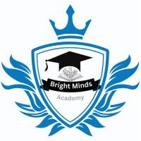 BrightMinds Academy logo - Similar company to Decisolve