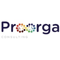 PROORGA CONSULTING logo - Similar company to Values-Ap