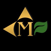 Grupo Magna logo - Similar company to Magna Castro Consultoria Contábil