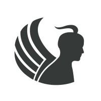 Caerus Connect logo - Similar company to Veterans & Co.