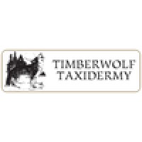 Timberwolf Taxidermy