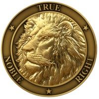 Aslan Leadership Strategies logo - Similar company to The Nicholson Group, Llc