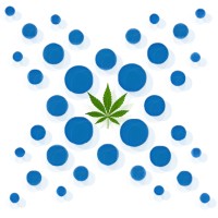 The High Index logo - Similar company to Canndev