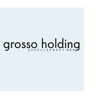 grosso holding logo - Similar company to Peak Vienna