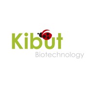 kibut.com.mx logo - Similar company to Atis South Caucasus