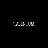 Talentum logo - Similar company to Wave Unlimited Co.