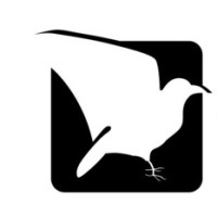 Greenraven Ventures
