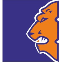 Lion Tapes Pvt. Ltd. - India