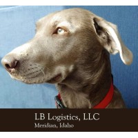 LB Logistics, LLC logo - Similar company to Extra Transportation Inc