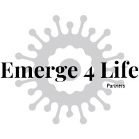 Emerge 4Life Partners logo - Similar company to Core Process España
