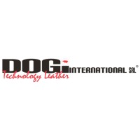 Dogi International logo - Similar company to Pascal Impianti